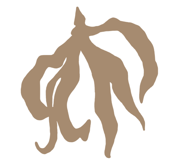 Aia Oil 